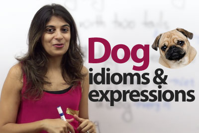 Dog idioms & Expressions - Free English Lesson
